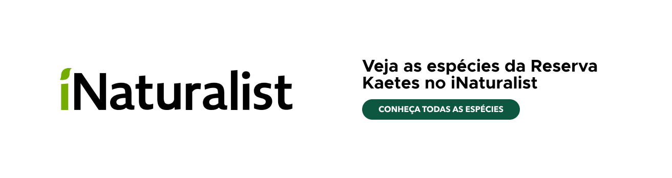 iNaturalist